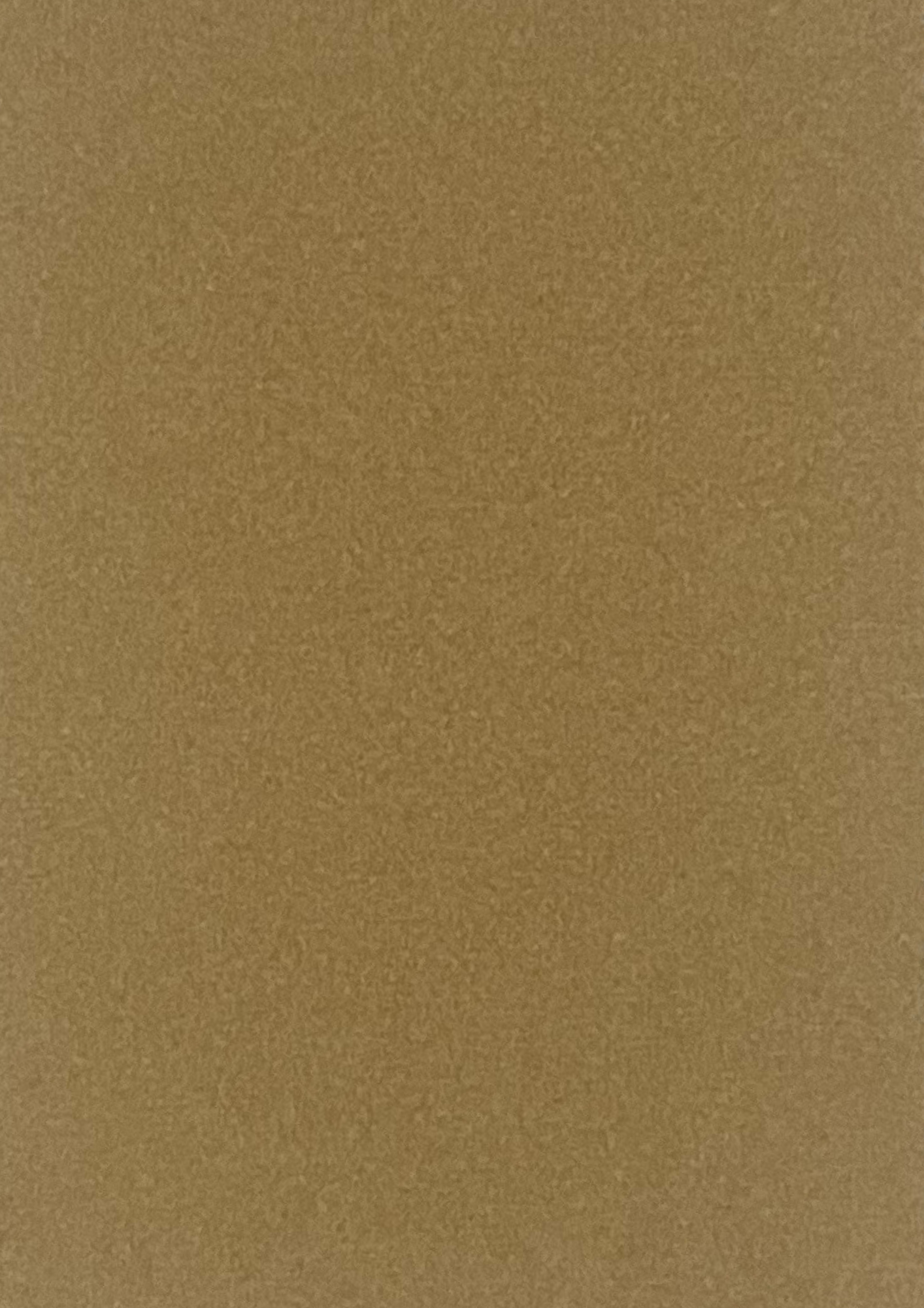 Broadcloth Interiors