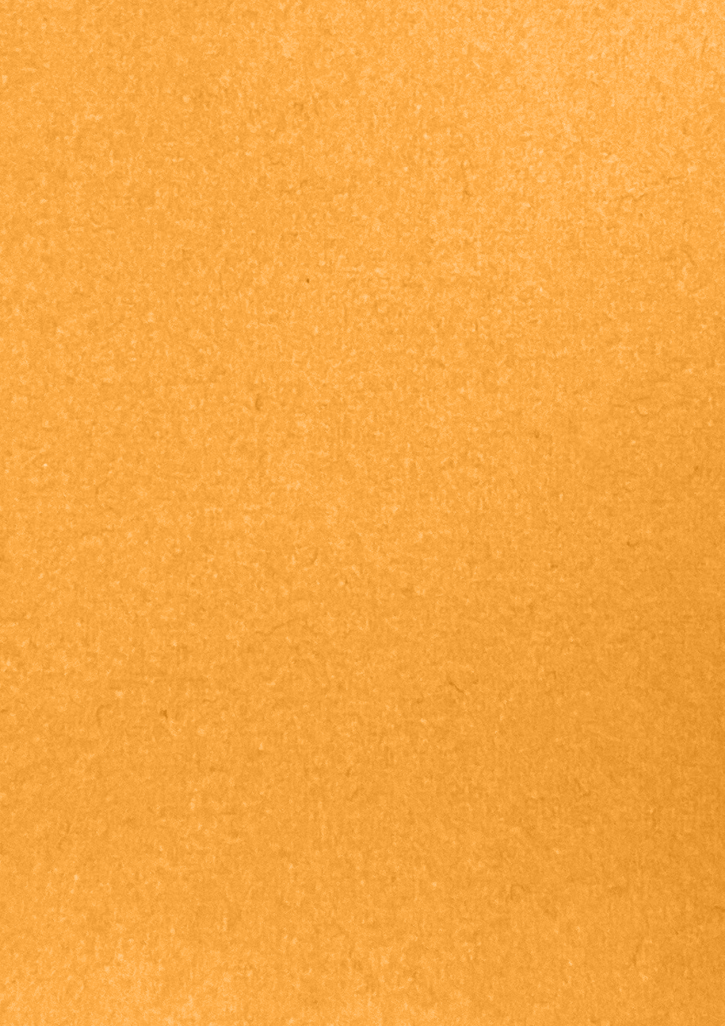 Broadcloth Interiors