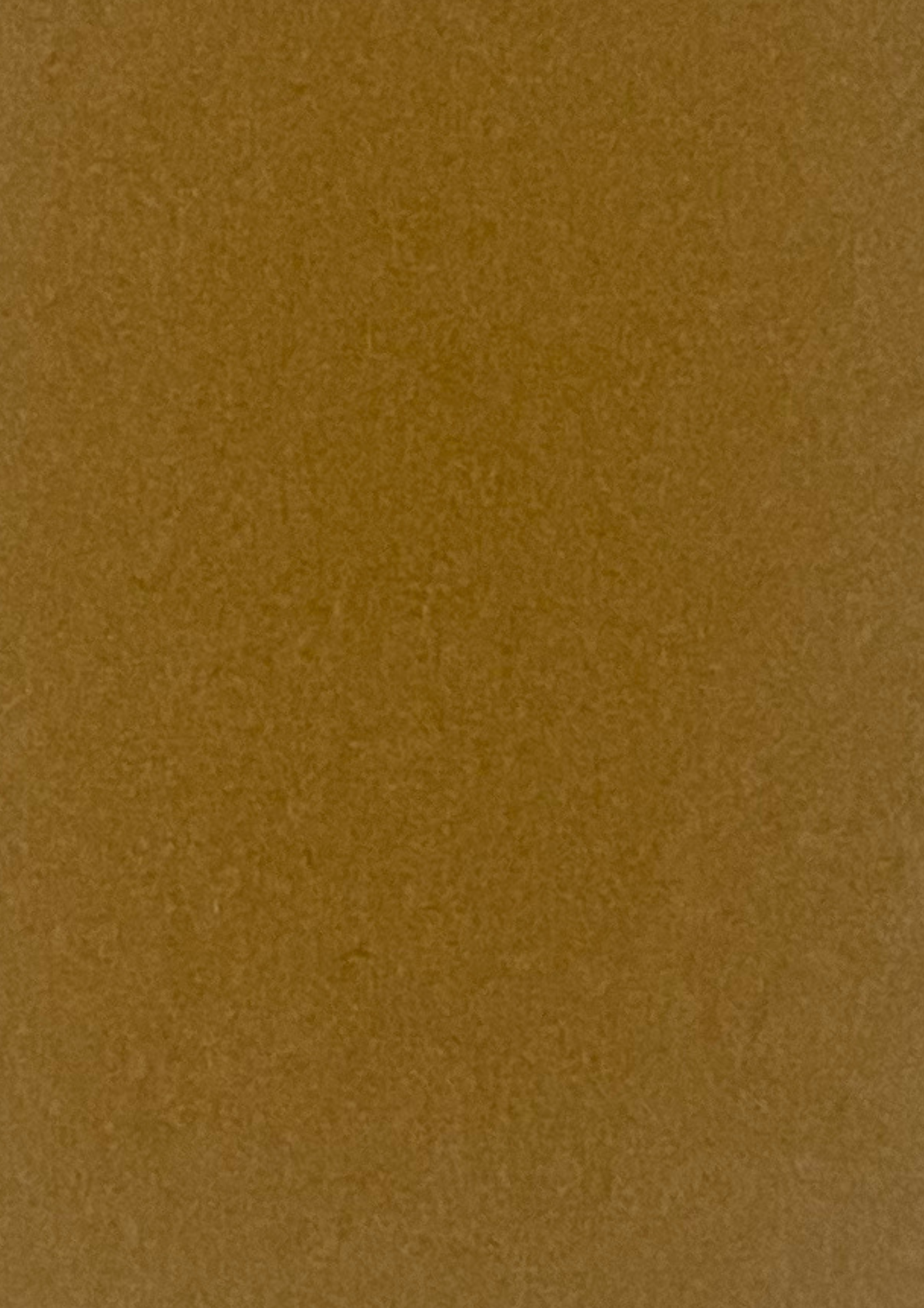 Broadcloth Interiors