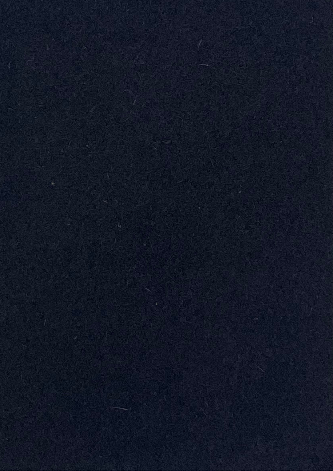 Pilot