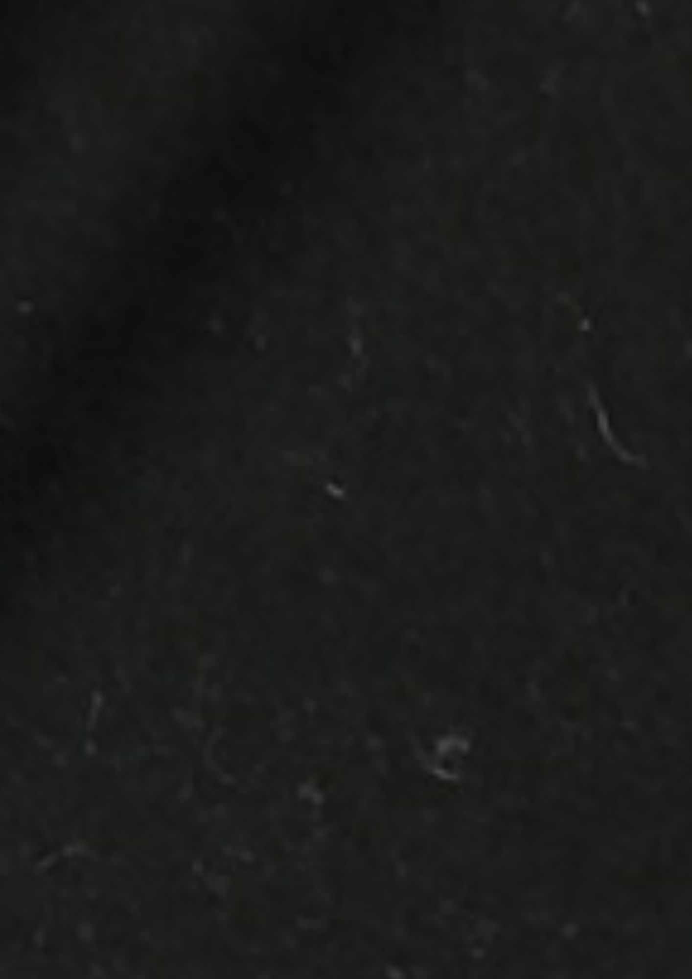 Doeskin